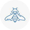 Bee Nest Removal St Neots